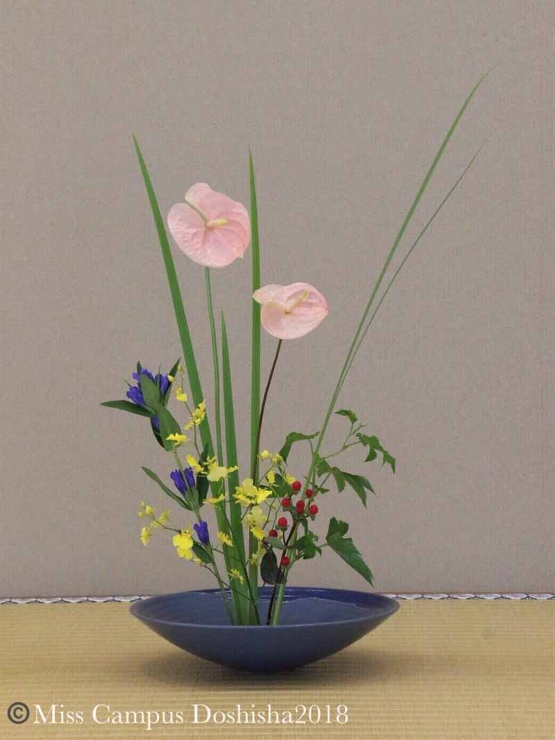 笹井千織の生け花